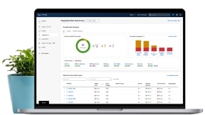 Cisco Meraki dashboard user interface with organizational summary